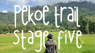 First Time Hiking Through Sri Lanka&rsquo;s Most Scenic Highlands | The Pekoe Trail Stage 5