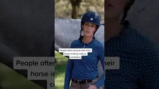 Is your horse being intentionally rude or combative to you? #EquestrianMasterclass