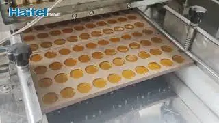 Малые&nbsp;Машина мармеладоотливочная Линия по производству мармелада