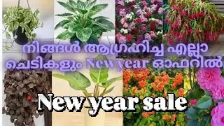 New year sale 🤩🤩🤩low price plants😱 order now 8921929832