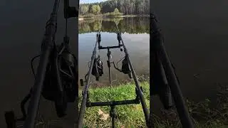 Langsamer Karpfenbiss.#karpfenangeln #carpfishing #carp #karpfen#carprun #carpruncompilation