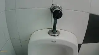 INODOROS DE LA DANA: 2012 inodoro Roca Victoria y urinario de la misma marca