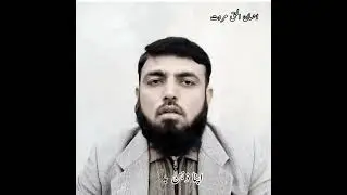 Pashto quotes || motivational quotes in pashto #shorts