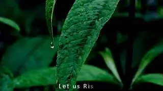 MoRISC TV -Stand Up Be Counted!