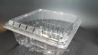 disposable food container,bagasse packaging,biodegradable plastic container,Price,China seller
