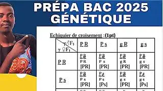 Génétique Mendélienne - Correction Exercice Type Bac