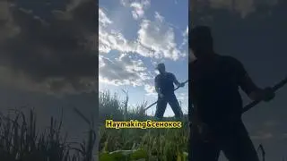 Haymaking.Farming. One million per year.Сенокос.#village #farming #business #nature #vlog #vlogger