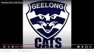geelong music if your sick of hawthorn