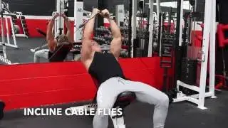 PEAK 12 WEEK CHALLENGE - TRAINING - PLAN C  - DAY 2 - 'PUSH' - CHEST, SHOULDERS & TRICEPS