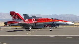 Canadian CF-18 Hornet. See Capt. Matthew Kutryk. 2017
