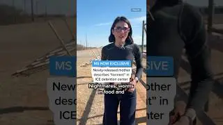 Newly-released mother describes 'torment' in ICE detention center