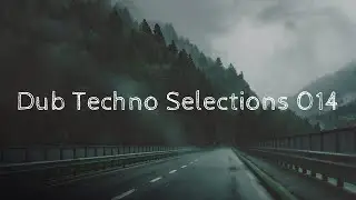 Dub Techno Selections 014 [Insectorama, Hello Strange, Hypnus, Deepindub , Apnea Label]