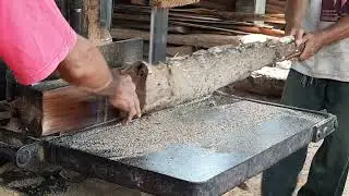 Ranjang Ranjang kayu di penggergajian 
