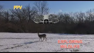 Miller Meadow Flying Field. FPV flight, exploring wildlife.