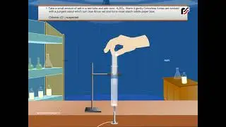 Chapter 2 Identification of Chloride ion