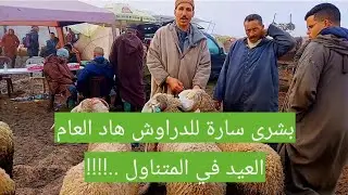 جولة في سوق سبت سايس بتاريخ  2026-01-31  ثمن النعجة والحولي وحتى الخرووف .  