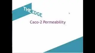 CACO2 Assay
