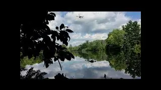 Forest Lake Nature Sounds - Tranquil Pond - 1 Hour Bird Songs HD Meditation Yoga #relaxing #yoga