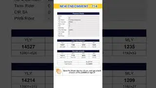 New Endowment // Plan no 714 // LIC Best Policy 2024