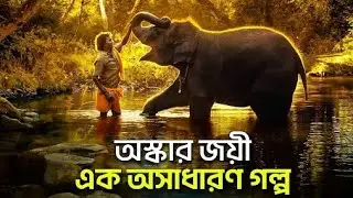 সন্তানসম হাতিটি বড় করা গল্প  The elephant whispers Movie Explained in Bangla