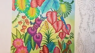 Parrot In The Jungle | Part 3/3 | Leaves and butterflies in MAGICAL JUNGLE by Johanna Basford