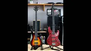 Modulus Quantum 4 fretless + Aguilar Agro