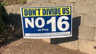 Story - Campaign Signs - Fall 2020