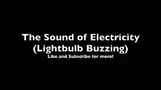 The Sound of Electricity (Lightbulb Buzzing)