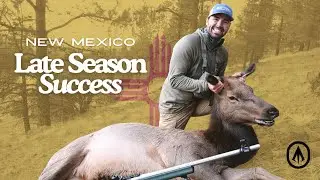 New Mexico Late Season Elk Success