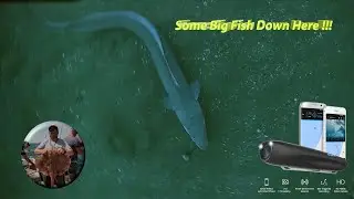 Spydro Underwater Fishing Camera. Ray, Conger Eeel, Bream, Dogfish