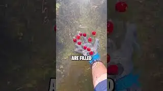 Why you should NEVER jump into a cranberry field