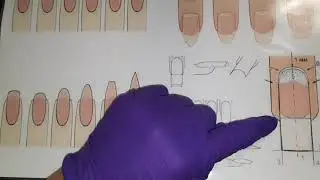 Lineamientos de estructura cuadrada + Aplicación con cover y esmaltado semi-permanente.  (clase 3)