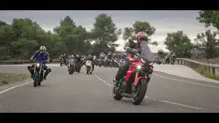 YAMAHA and CARLBARKS Together we create love and passion