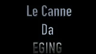 Eging ai Cefalopodi 