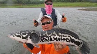 Fishing Video !!! Awesome Wild Mama Toman Fishing Trip- BkkGuy & BkkLady -   BKKGUY