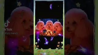 Whimsical Ambiance of the Pink Poodle Coven Realm by Mocha Schuepbach Webb #tarotreaders #whimsigoth