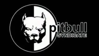 Cyro Interactive/Pitbull Syndicate (2000)