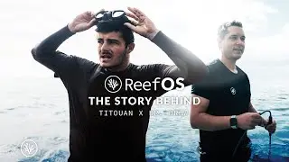 ReefOS - the story behind the first Coral Gardeners' innovation project
