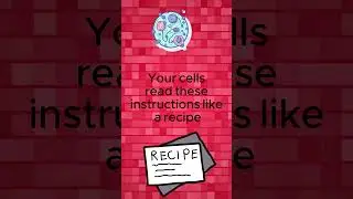 How Does an mRNA Vaccine Work? #vaccine #shorts