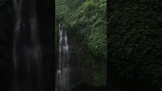 MEDITATION