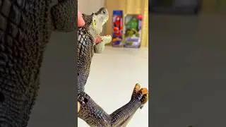 Spinosaurus Attacks Hulk #dinosaurs