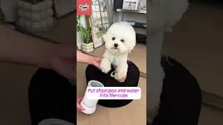 NEVER Clean Muddy Paws Again! 🐾 The 5-Second Paw Washer #doggroomingtips #pets #petcareprovider