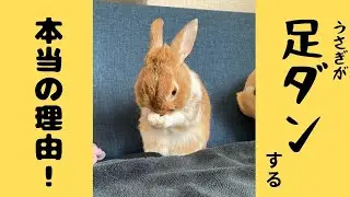 足ダンの本当の意味、知ってる？
