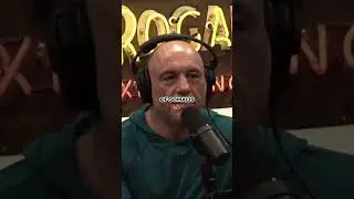 Joe Rogan Reacts To Minnesota Flag Change