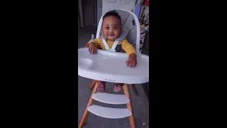 Built for Family Moments | Evolur Zoodle High Chair