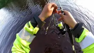Pottu kalastaa vol 14- testiss&auml; maxximus predator tail or jerkki/jigausta/frogia