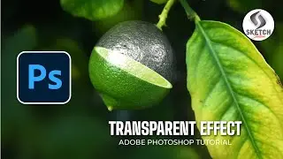 Create a Transparent Effect in Photoshop | Sketch Station