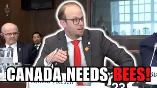 Canada Needs To Import More Bees! Farmer Says They Live Through Winter!