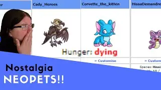 MY NEOPETS ARE DYING!!!!