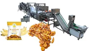 Plantain Chips Banana Chips Frying production line